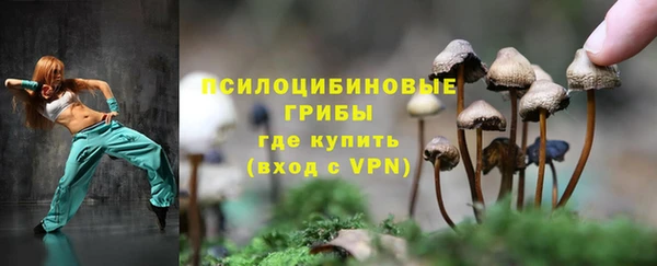 прущие крисы Армянск