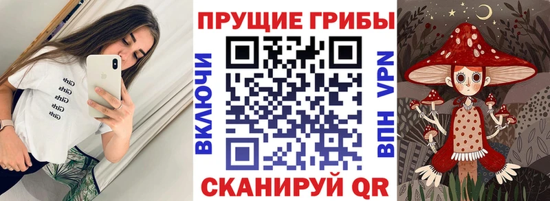 Псилоцибиновые грибы мухоморы  площадка какой сайт  Уржум 